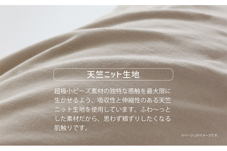 王様の抱き枕 標準サイズ（ライトグリーン）超極小ビーズ抱きまくら