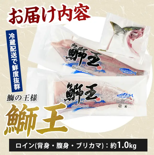 【先行予約】【切って盛るだけ】『旅サラダ』で紹介ぶりの王様「 鰤王 」 ロイン 2節 (約1.0kg～) 半身 産地直送 新鮮 旨味が抜群の 長島町 特産品 ブランド ぶり 鰤 ブリ 切り身 真空 冷蔵 刺身 ぶりしゃぶ しゃぶしゃぶ 魚 魚介 人気 ランキング 【JFA】jfa-7132