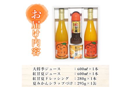 大将季・紅甘夏ジュース　缶詰＆ドレッシングセット_ja-577