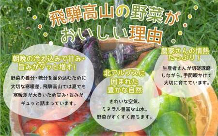 【令和8年産】（2026年6月中旬～10月下旬順次発送予定）飛騨の野菜お任せセット 7～9品目 | セット 野菜 夏野菜 秋野菜 やさい おまかせ お取り寄せ 新鮮 産地直送 飛騨産 夏 秋 サラダ 飛騨高山 あじかファミリー GN001-26