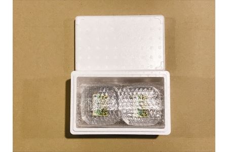 【北海道根室産】灯台つぶわさび　120g×6個 A-09047