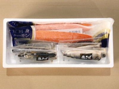 お刺身トラウトサーモン600g、塩さばフィレ1枚×8P A-09064