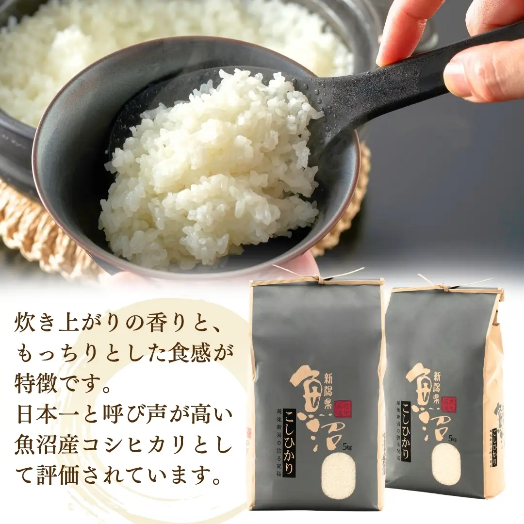 【令和8年産 先行予約】 昔ながらの魚沼産コシヒカリ 従来品種 定期便 15kg（5キロ×毎月全3回）農園ビギン|おこめ 特A評価 小千谷市 コシヒカリ