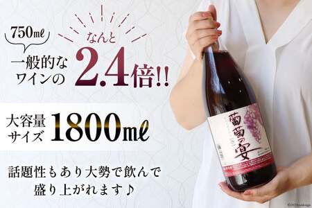赤ワイン 葡萄の宴 |名物 一升瓶ワイン 1.8L×6本