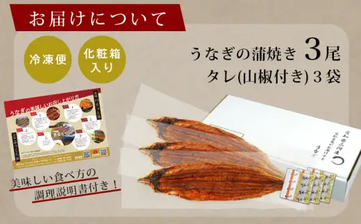 【通常発送】三河産うなぎ特大サイズ蒲焼×3尾(530g～550g) ・A087-25