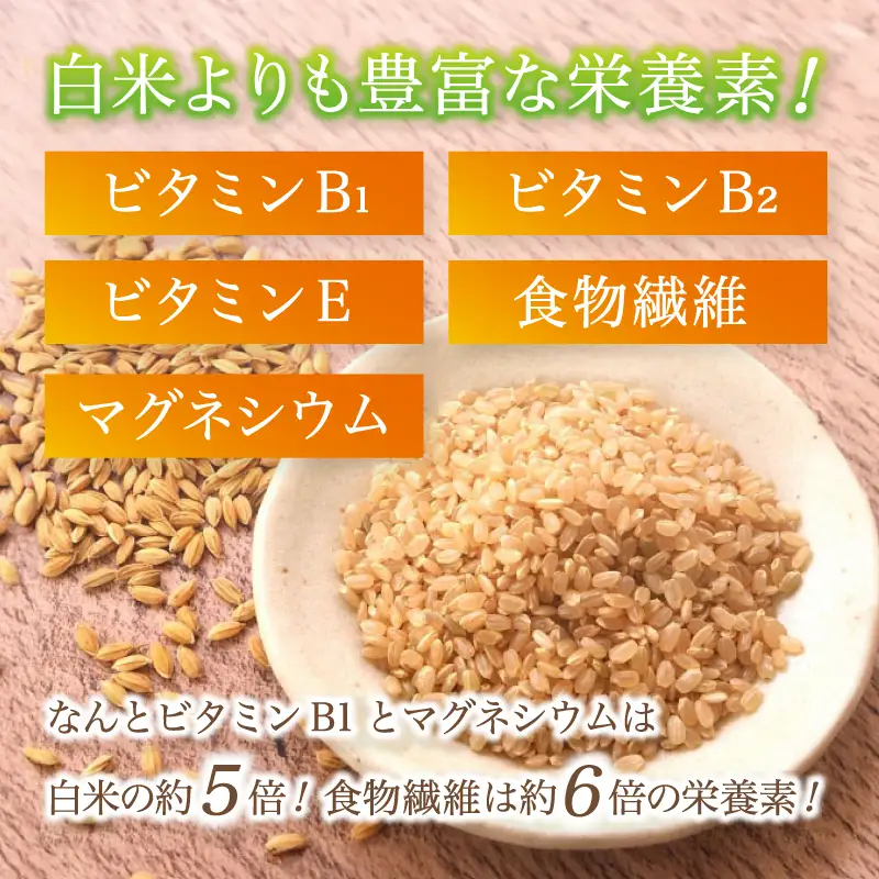 特別栽培米 竹炭米 玄米 コシヒカリ 5kg ： お米