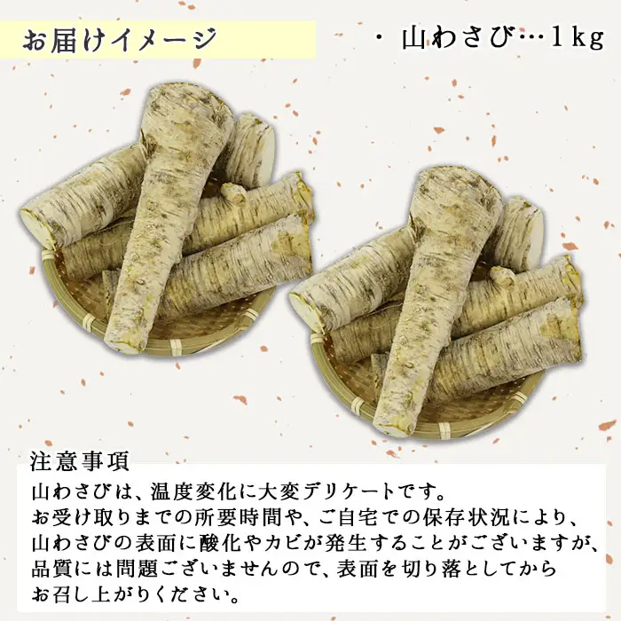 天然 山わさび 1kg前後 産地直送 薬味 肉 BBQ バーベキュー 焼き肉 送料無料 北海道 弟子屈町 3165