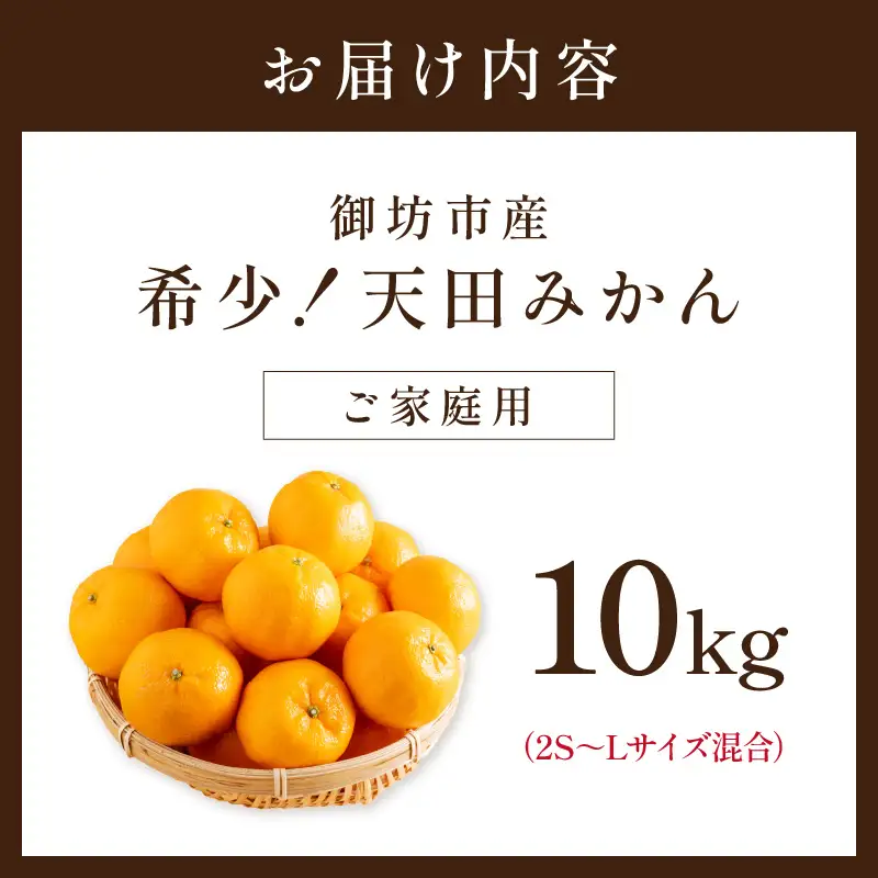 希少！天田みかん（紀州和歌山）ご家庭用10kg【0617-4】