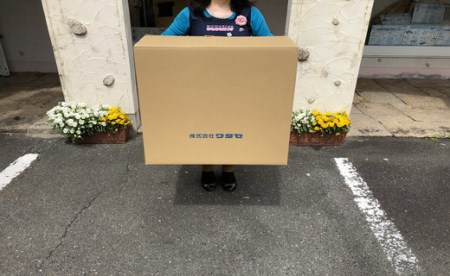 ふとん打ち直し　抗菌抗ウイルスフルテクト加工生地　みず穂柄　２枚組【CW89W1】