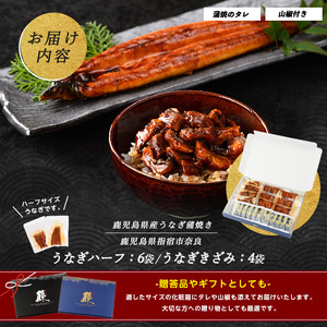 うなぎ ハーフ きざみ 約560g 鹿児島県産 うなぎ IB020-005