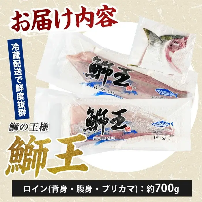 【決済完了から14日前後に発送】【切って盛るだけ】『旅サラダ』で紹介ぶりの王様 新物 「 鰤王 」ロイン (約700g・2節)  半身 産地直送 新鮮 旨味が抜群の 長島町 特産品 ブランド ぶり 鰤 ブリ 切り身 ぶりかま フィレ 真空 冷蔵 刺身 ぶりしゃぶ しゃぶしゃぶ 魚 魚介 人気 ランキング 【株式会社JFA】jfa-7128R8