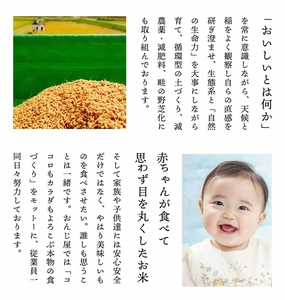 令和８年産 新米 ミルキークイーン 精米 ５kg ／ おんじ屋 お米 白米 三重県 度会町 伊勢志摩