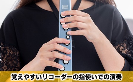 シンセサイザー エアロフォンミニ 楽器 シンセサイザー