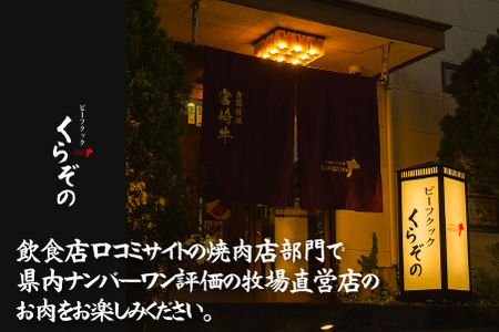 宮崎牛 【定期便・全3回】小林市産宮崎牛特選サーロインステーキコース（200ｇ×２枚×3ヶ月） 宮崎牛