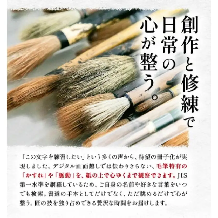 昭和書体見本帳 書体 闘龍書体編 株式会社昭和書体《30日以内に出荷予定(土日祝除く)》
