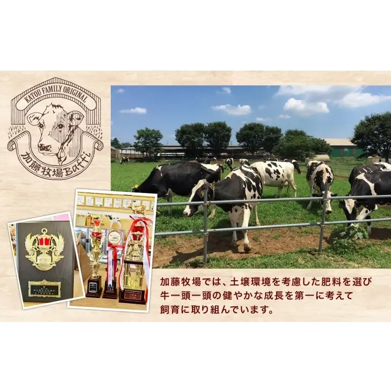 【加藤牧場】ノンホモ低温殺菌牛乳使用 ジェラート 18個入り アイス 氷 夏 暑い 猛暑 フレーバー 濃厚 さっぱり 人気 ご当地 スイーツ お菓子 食後 デザート 氷菓 牛乳 さっぱり コク お取り寄せ 加藤牧場 埼玉県 日高市