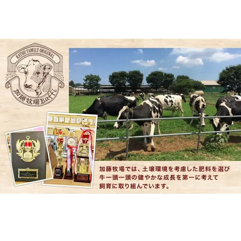 【加藤牧場】ノンホモ低温殺菌牛乳使用 ジェラート 9個入り アイス 氷 夏 暑い 猛暑 フレーバー 濃厚 さっぱり 人気 ご当地 スイーツ お菓子 食後 デザート 氷菓 牛乳 さっぱり コク お取り寄せ 加藤牧場 埼玉県 日高市