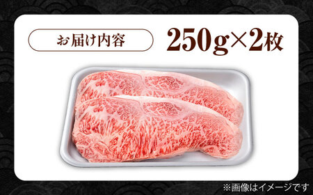 佐賀牛 サーロインステーキ 500g / サーロインステーキ [IAG051]