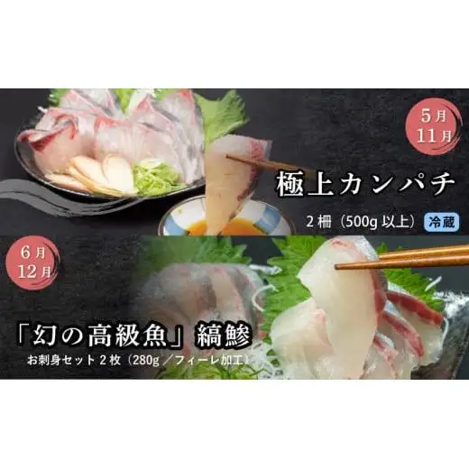 刺身 定期便 6ヶ月 