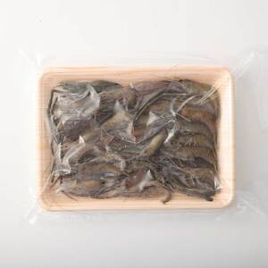 天然テナガエビ１パック（冷凍 約220g） 【R00026】