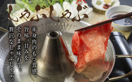 【ふるなび限定】飛騨牛 すき焼き  1kg  すき焼き トキノ屋食品 FN-Limited-PR
