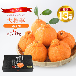 ながしまマンダリン王(大将季) 約5kg【ながしまマンダリングループ】mandarin-7198
