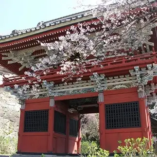 雨引観音　薬膳中華茶房「三笠」の食事券　孔雀コース[AW001sa]