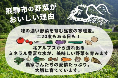 《令和8年産先行予約》飛騨トマト 約4kg トマト