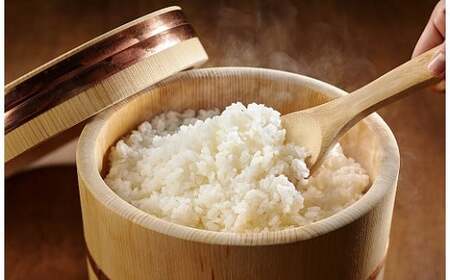【令和7年産米】新之助 無洗米 10kg（5kg×2袋） 徳永農園[Y0132]