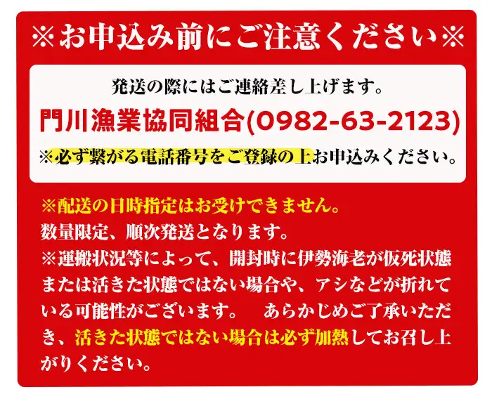 ＜数量限定＞天然！門川町産活き伊勢海老(計1.5kg・約2～6尾)エビ えび 刺身 魚介 海鮮 朝獲れ 国産【O-6】【門川漁業協同組合】