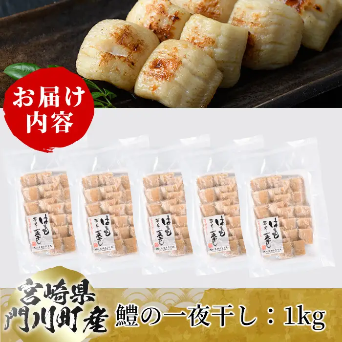 鱧の一夜干し(計1kg)ハモ 干物 魚介 おつまみ おかず 小分け 冷凍 国産 宮崎県 門川町【O-2】【門川漁業協同組合】