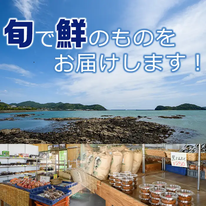 門川町産！平兵衛酢とへべすぽん酢のセット(2種各300ml×各2本)柑橘 調味料【G-6】【旬鮮かどがわ直売センター】