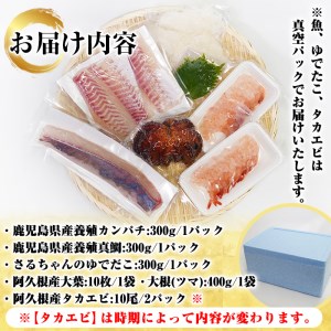 鹿児島県産！お刺身切るだけセット(6人～8人前)国産 刺し身盛 鹿児島産 魚貝 魚介 海産物 刺身 蛸 たこ 海老 エビ かんぱち タイ 簡単調理 おつまみ セット 小分け 個包装【さるがく水産】akn028-17