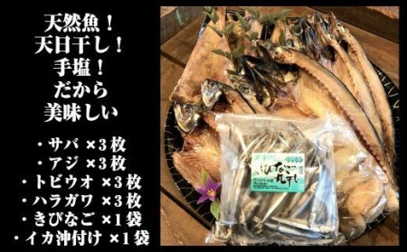 一代目から続く製法！大満足の旬の干物セット 1084-3