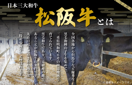 松阪牛 400g 切り落とし松阪牛 I22