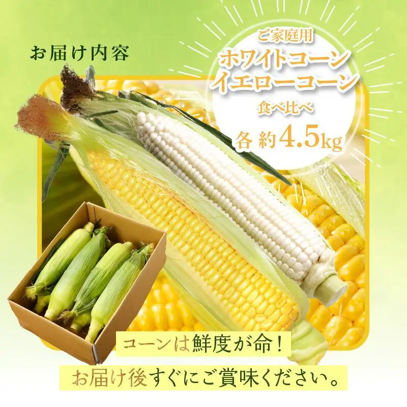 訳あり ご家庭用 瀬戸内ホワイトコーン・イエローコーン食べ比べ 各約4.5kg【2027-6月中旬～2027-7月中旬配送】