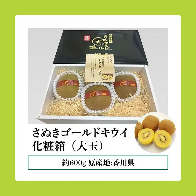 さぬきゴールドキウイ化粧箱(大玉)　約600g【2026年10月中旬～2027年1月下旬配送】