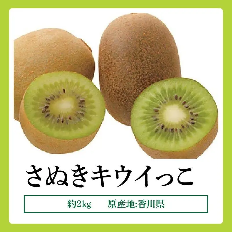 さぬきキウイっこ　約2kg【2026年10月下旬～2026年12月下旬配送】