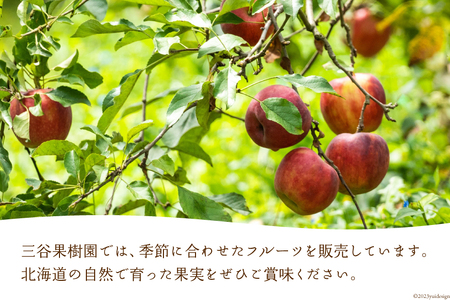 りんごジュース・フルーツジャムセット