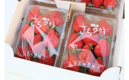 【2027年1～3月発送】【3ヶ月定期便】「さちのか」いちご300g×4Pを3回お届け[H7007]