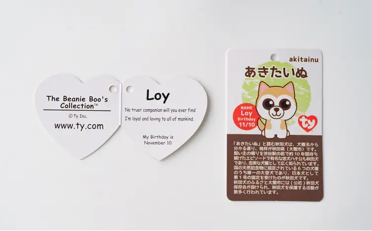35P7303 Tyぬいぐるみ秋田犬Loy(ロイ)　2個セット【花ドーム】