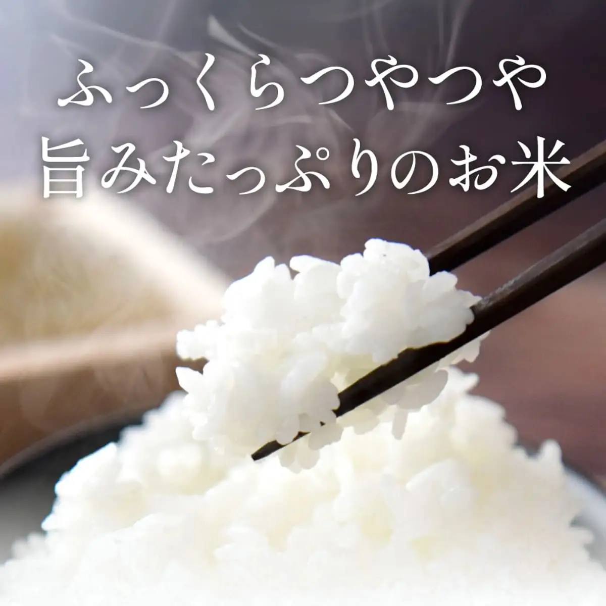 コシヒカリ【新米】特A 丹波篠山産  5kg コシヒカリ