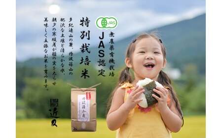 【令和7年産】丹波篠山産 特A 特別栽培米 コシヒカリ  (2kg) こしひかり  BA02