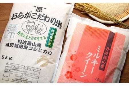 【令和7年産】丹波篠山産 特別栽培 食べ比べ (コシヒカリ5kg ミルキークイーン5kg) 特別栽培米 減農薬栽培  BE03