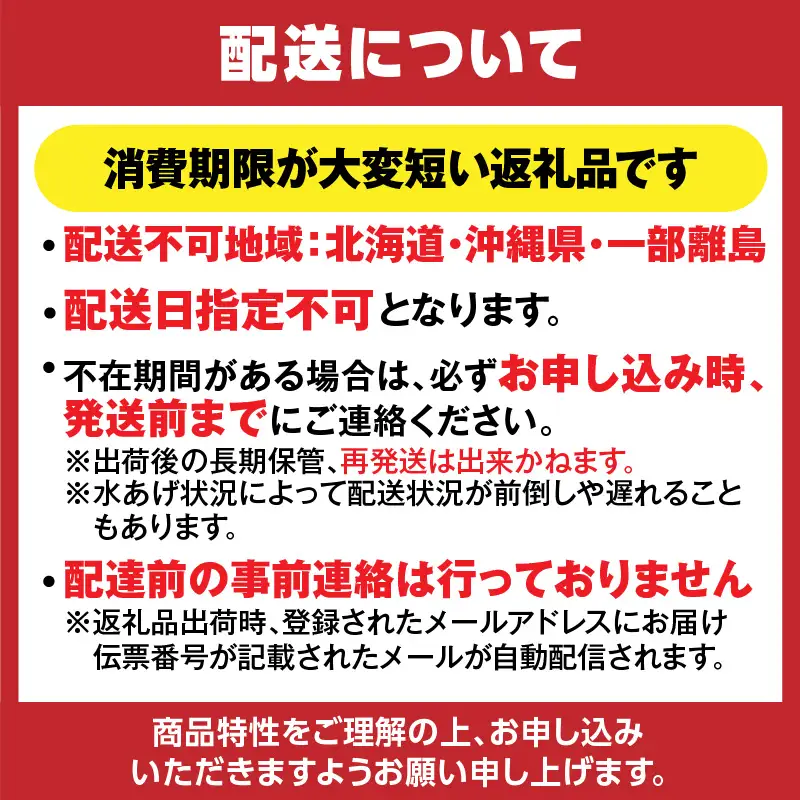 《生》 香住ガニ 大 タグ付き 約800g×2枚【令和8年11月以降発送予定】かに カニ 03-07