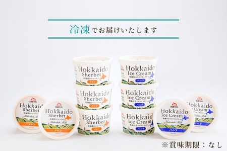 函館牛乳アイス ＆ シャーベットセットA 120ml 10個セット アイス バニラアイス アイスクリーム 氷菓 メロン シャーベット デザート 洋菓子 詰め合わせ 北海道産 生クリーム 濃厚 牛乳 新鮮 函館 送料無料 お取り寄せスイーツ_HD013-028