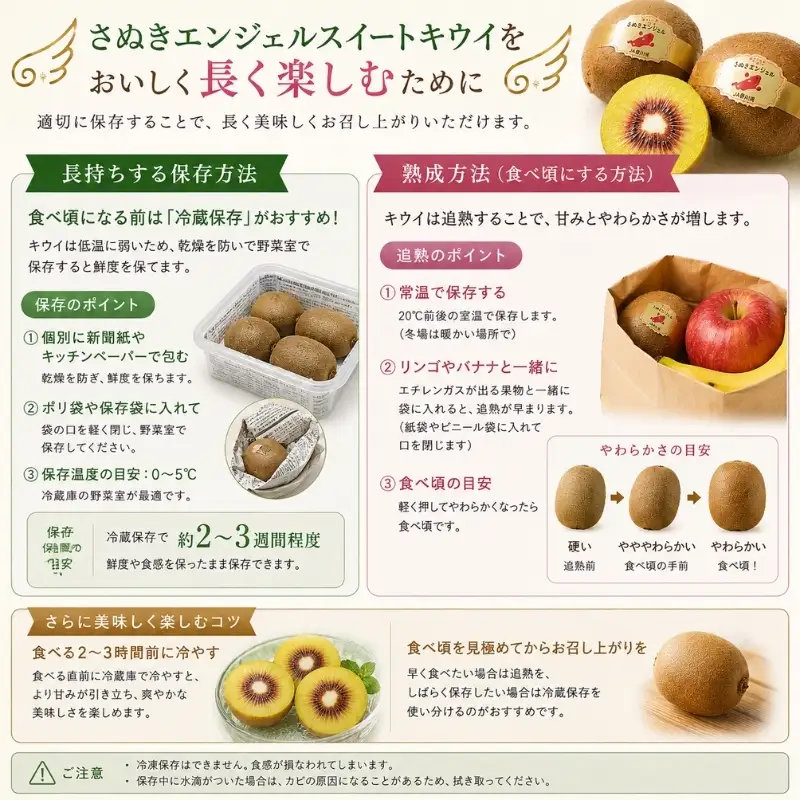 キウイ フルーツ さぬきエンジェル スイートキウイ 香川県産 キウイ【約1kg】