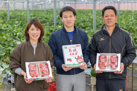 CF106【令和8年11?12月発送】長崎県知事賞受賞 厳選いちご ゆめのか 2L～3L 260g×4パック