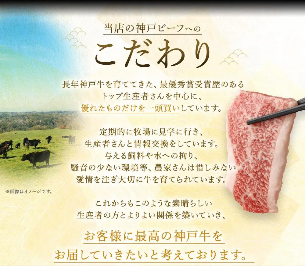 A5等級神戸牛（神戸ビーフ）おまかせ焼肉セット 500g 焼肉