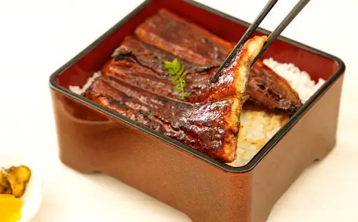 三河産うなぎ 蒲焼 《2尾（計240～250g）》「生産者愛知養魚｣がお届け・A092-12